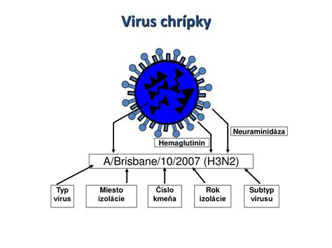 Schéma prenosu vírusu osýpok