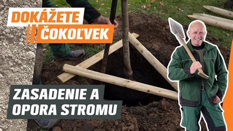 Symbolické zasadenie stromčeka po strate dieťaťa