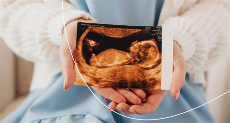 Genetické testovanie v tehotenstve