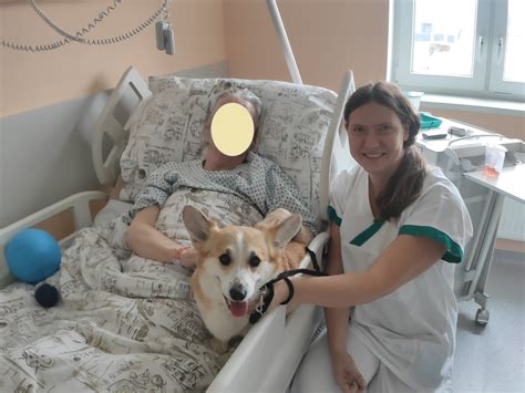 Ilustrácia canisterapie