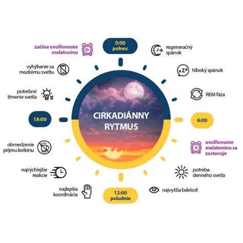 Cirkadiánny rytmus