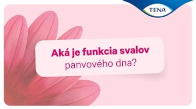 Ilustrácia panvového dna ženy