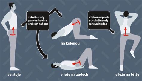 Schéma správneho prevedenia Kegelových cvikov