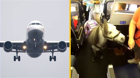 detsk kok v lietadle