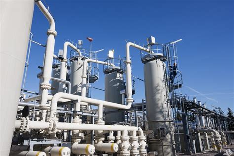 Energetické zásoby novonarodeného selčiatka