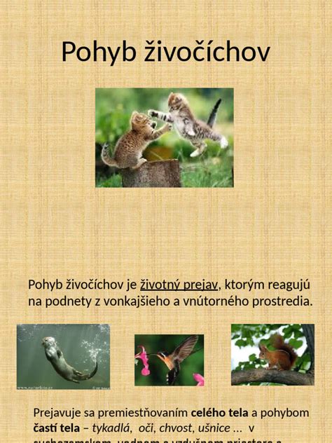 Ilustrácia nepohlavného rozmnožovania živočíchov