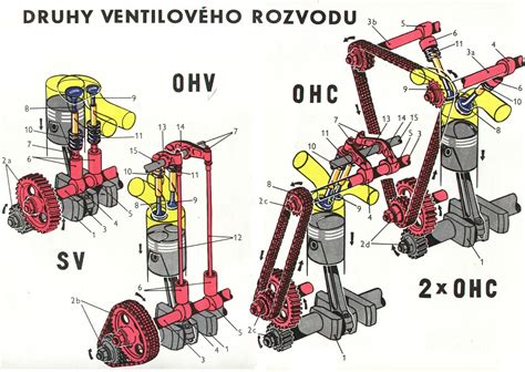 schéma obranných mechanizmov