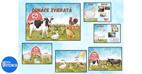 Schema starostlivosti o domáce zvieratá