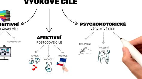 Infografika: Aktivity a výstupy projektu v oblasti sexuálnej výchovy