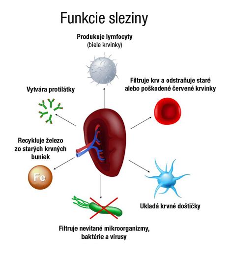 Infografika porovnávajúca funkcie rôznych sterilizátorov