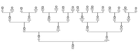 Grafické znázornenie rodostromu