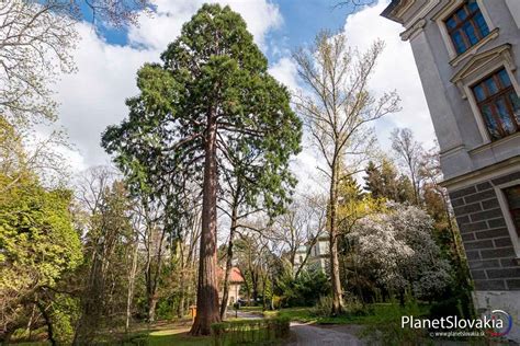 Fotografia jaslí v blízkosti botanickej záhrady