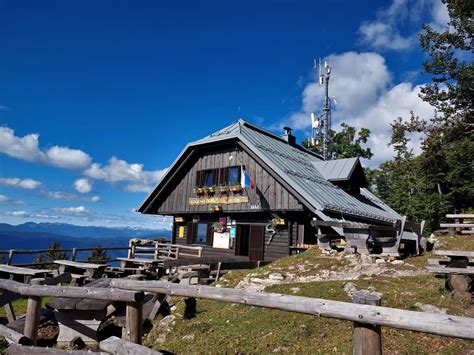 Ilustrácia svadobného koča