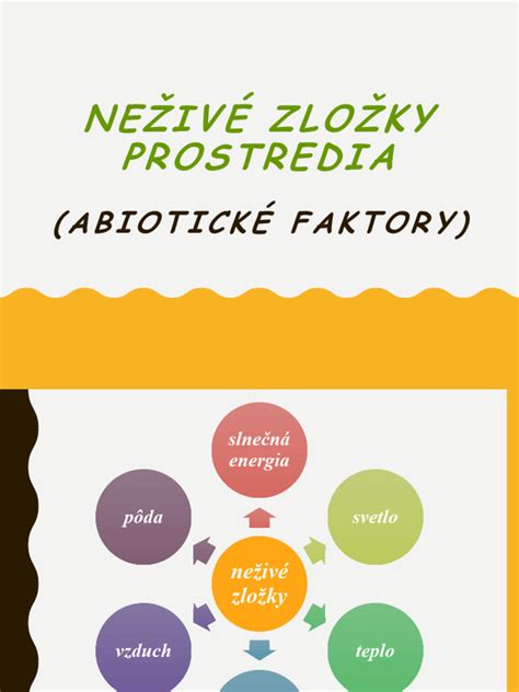 Infografika znázorňujúca kľúčové zložky školského prostredia