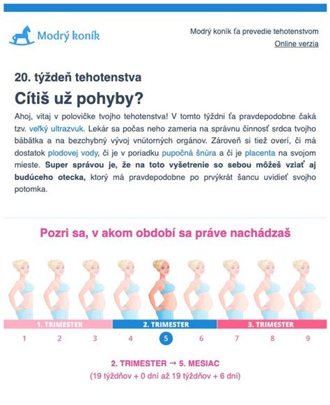 Ukážka vnútra tehotenského denníka s rôznymi sekciami