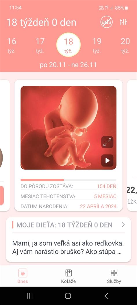 Rozdeľovač mesiaca v tehotenskom denníku