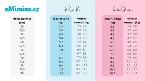 graf priberania váhy počas tehotenstva