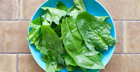 Čerstvé listy špenátu