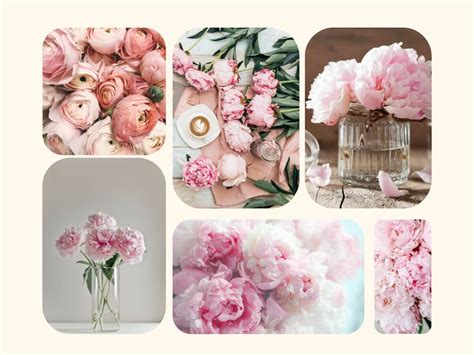 Koláž rôznych dizajnov dojčiacich vankúšov