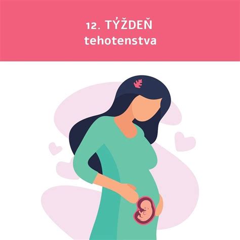 ultrazvuk 12 týždňov tehotenstva