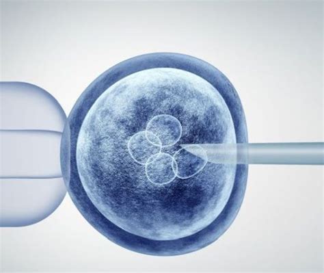 Ilustračná snímka umelého oplodnenia