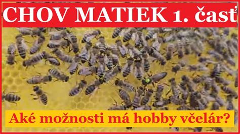 Ilustrácia mini úľu pre chov matiek