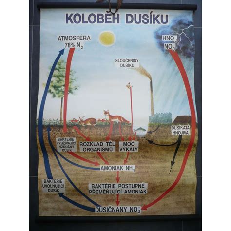 Uchovávanie spermy v kvapalnom dusíku