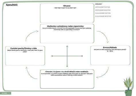 Schéma mitochondriálnej substitučnej terapie