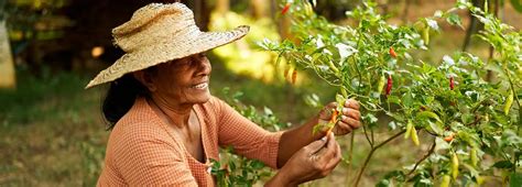 Symbolika orla v rôznych kultúrach