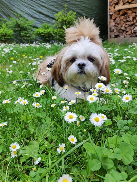 Ilustrácia bábätka s boľavým bruškom