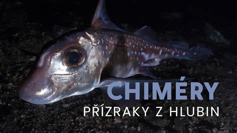 Ilustrácia mýtickej chiméry