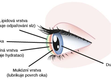 Ilustrácia ľudského oka s viditeľnou spojivkou