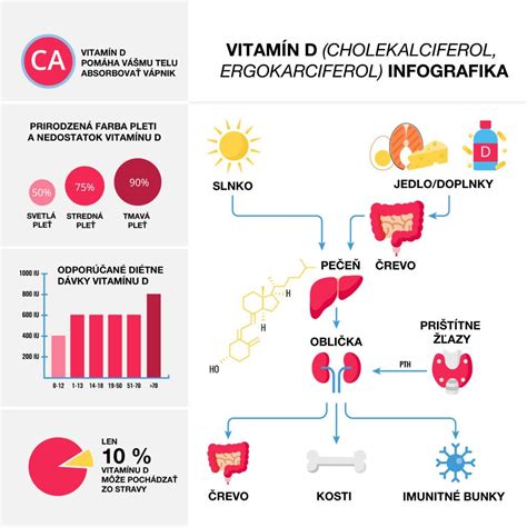 Schéma syntézy vitamínu D v tele