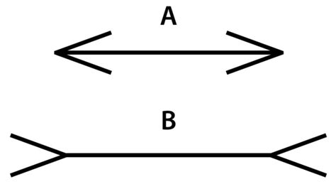 Mueller-Lyerova ilúzia