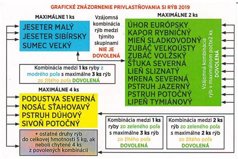 Grafické znázornenie rozdielov medzi materským a rodičovským príspevkom
