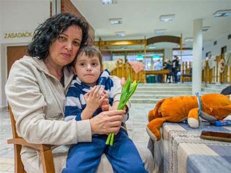 Proces žiadosti o dotáciu na stravu pre deti