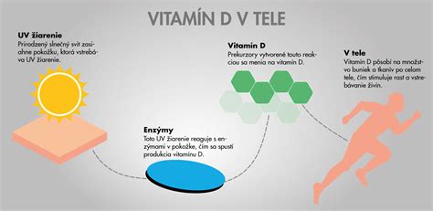 Schéma: Vplyv vitamínu D na vstrebávanie vápnika a zdravie kostí