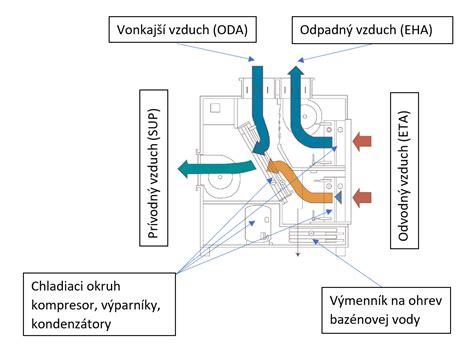 Schematické zobrazenie vaječníka a vajíčka