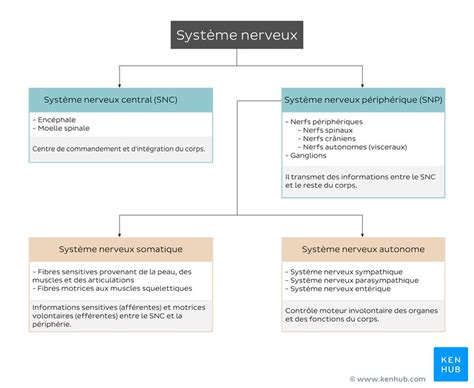 Schéma diagnostického centra