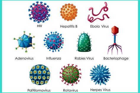 Infografika zobrazujúca rôzne druhy vírusov a baktérií spôsobujúcich respiračné ochorenia