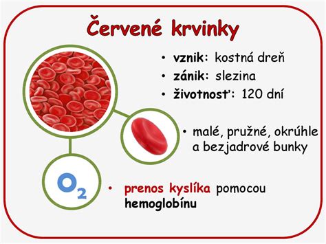 Schéma transportu kyslíka v krvi pomocou hemoglobínu