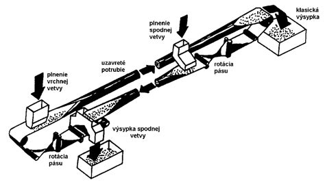 Schematické znázornenie príčin zeleného výtoku
