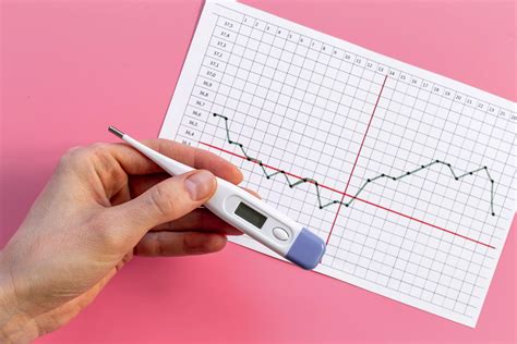 Kalendár zmien cervikálneho hlienu počas cyklu