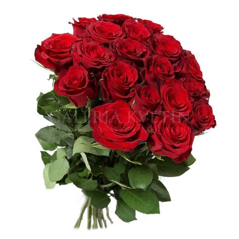 Kytica ruží ako prejav ocenenia