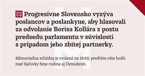 Portrét Borisa Kollára