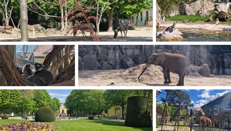 Zoologická záhrada Schönbrunn vo Viedni