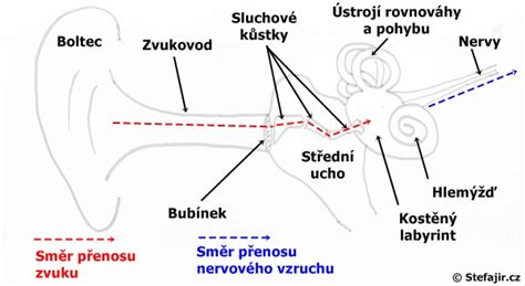 Schéma ľudského ucha a šírenia zvuku