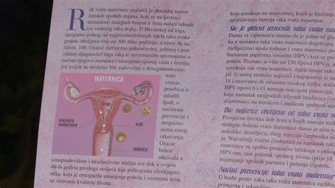 schematické znázornenie maternice s vyznačeným endometrom