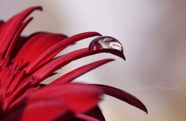 Schéma správneho užívania antikoncepčnej tabletky