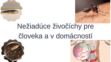 Infografika zobrazujúca rôzne nežiaduce účinky antikoncepcie